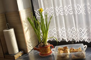 Pečivo z naší sluníčkové dopékárny