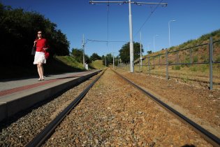 Aktivní čekání na šalinu