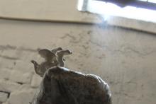 Hlíva roste jako z vody