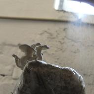 Hlíva roste jako z vody