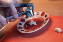 Česnek z Telnice (žádný zázrak)