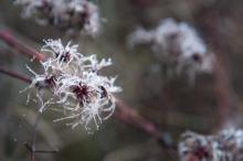 Na Kraví Hoře bylo poněkud frišno