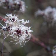 Na Kraví Hoře bylo poněkud frišno