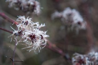 Na Kraví Hoře bylo poněkud frišno