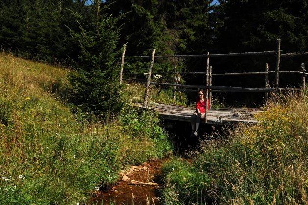 Krásy Krušných hor