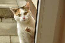 Němý úžas, nebo spíš děs?