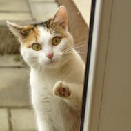 Němý úžas, nebo spíš děs?