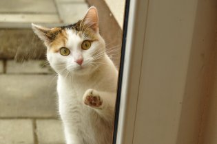 Němý úžas, nebo spíš děs?