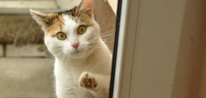 3. víkend v únoru 2013