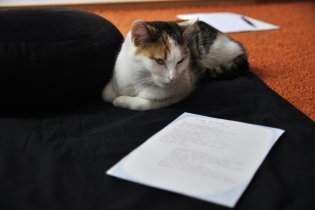 Hmm, to už všechno znám