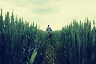 Otec Petr odchází do Říma (skoro)