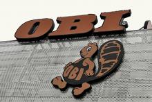 Když nevíte coby...