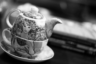 Mucha v černobílé