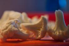 Květáková poezie (která se za pár okamžiků stane květákovou polévkou)