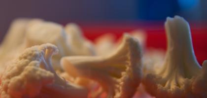 4. víkend v listopadu 2013