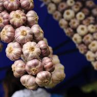 Festival zdraví a pohody v Hotelu Santon