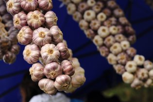 Festival zdraví a pohody v Hotelu Santon