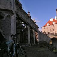 OLYMPUS DIGITAL CAMERA