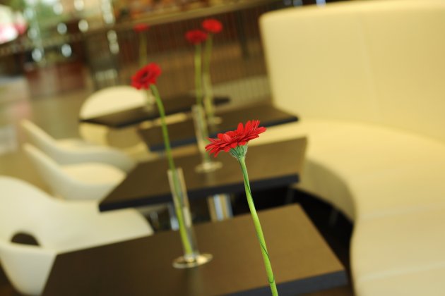 Kavárna v Letmo (letmá kavárna?)