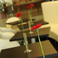 Kavárna v Letmo (letmá kavárna?)