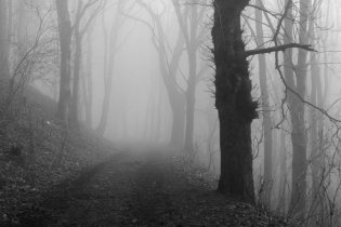 Cestou k Vlčímu kameni jsme čekali, odkud na nás vyskočí Rákosníček