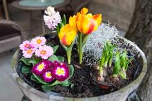 Jarní výzdoba Dvorku pod Petrovem