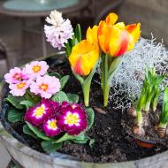 Jarní výzdoba Dvorku pod Petrovem