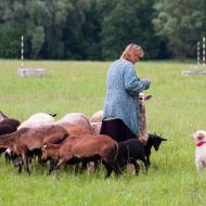 Zoo na sídlišti poprvé (Ano, opravdu je to ta stejná paní,