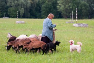Zoo na sídlišti poprvé (Ano, opravdu je to ta stejná paní,