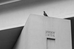 Zoo na sídlišti potřetí (Exponát z roku 1982)