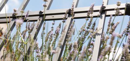 1. víkend v červenci 2014