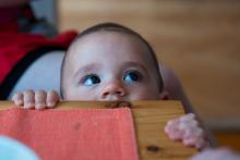 Toník čeká, jestli náhodou neukápne nějaká zmrzlina