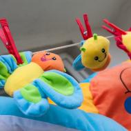 Chytili jsme na pasece motýla a vyprali ho na 40