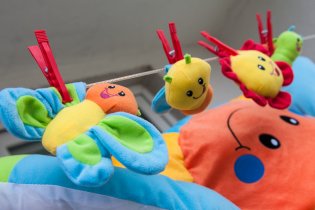 Chytili jsme na pasece motýla a vyprali ho na 40