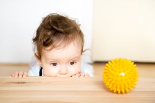 Tahle borovice chutná rozhodně líp než ten dřevotřískový šunt z IKEA!