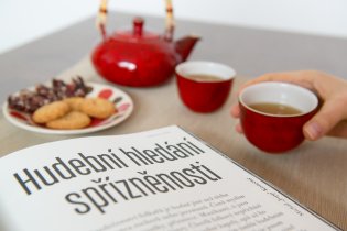 Zapůjčili jsme si v MZK Kmeny 0, kapitolu o folkařích bohužel pěkně ošidili