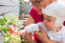 Seznamujeme se s místní flórou