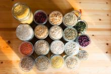 Zas budeme mít pár dní co jíst