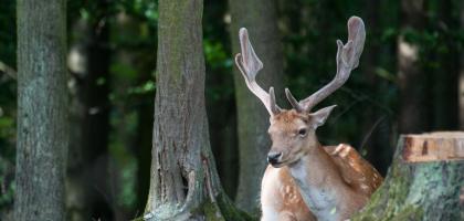 2. víkend v červenci 2014