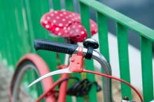 variace na téma "červené kolo u zeleného plotu"