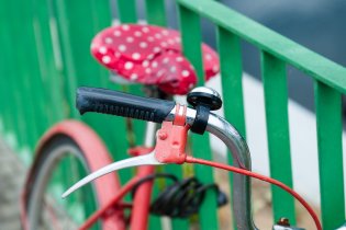 variace na téma "červené kolo u zeleného plotu"