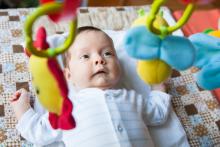 Verunka statečně odolává náletu plyšových hmyzáků