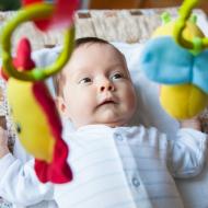 Verunka statečně odolává náletu plyšových hmyzáků