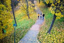 Podzimní špilberková náladovka