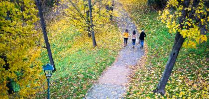 2. víkend v listopadu 2014