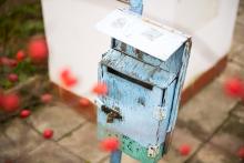 Tak pro tuhle barevnou kombinaci jsem prostě musela přes plot fotit