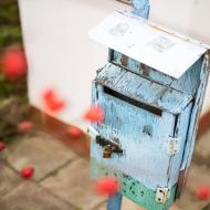 Tak pro tuhle barevnou kombinaci jsem prostě musela přes plot fotit