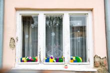 Divíme se v Divišově čtvrti 1: za oknem je stonožka