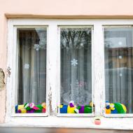 Divíme se v Divišově čtvrti 1: za oknem je stonožka