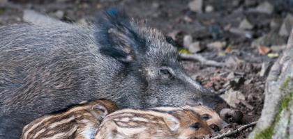 2. víkend v srpnu 2014